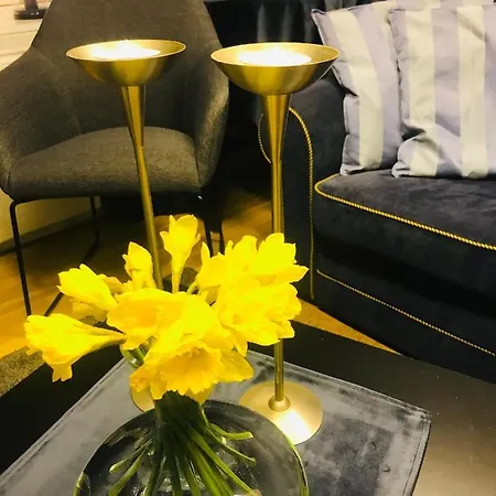 Apartment Taras Rom Og